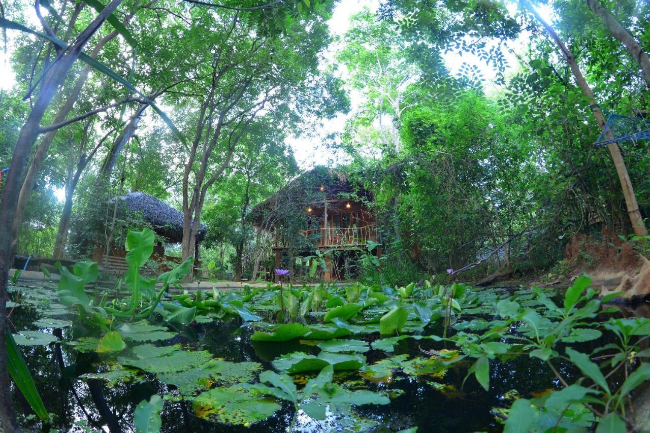 Habarana Tree House Mutu Village Экстерьер фото